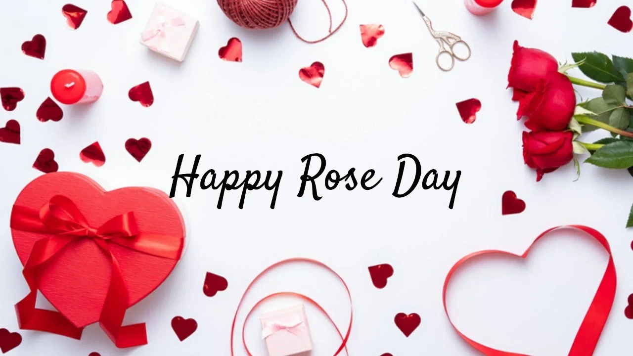 Valentine's Week Started With Rose Day