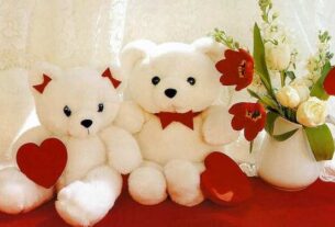 Teddy Bear Day Of Valentine Week
