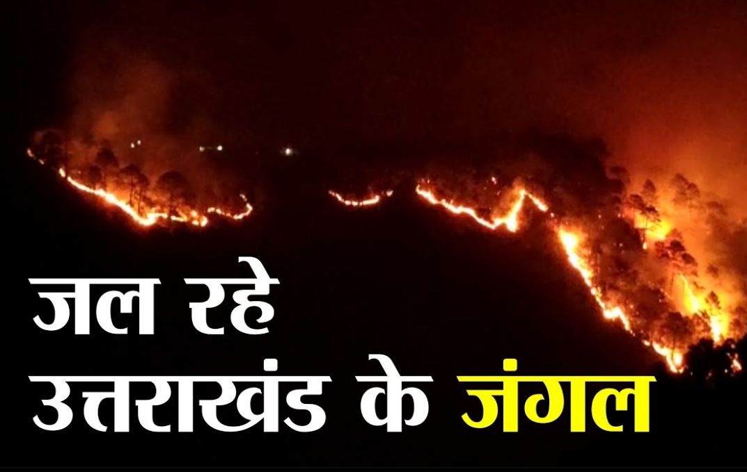 Incidents Of Forest Fire