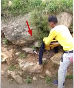 Young Man Catch The King Cobra