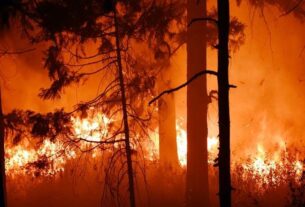Forests Burning In Uttarakhand