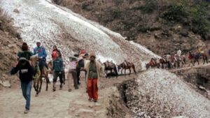Death Of Horses And Mules In Kedarnath