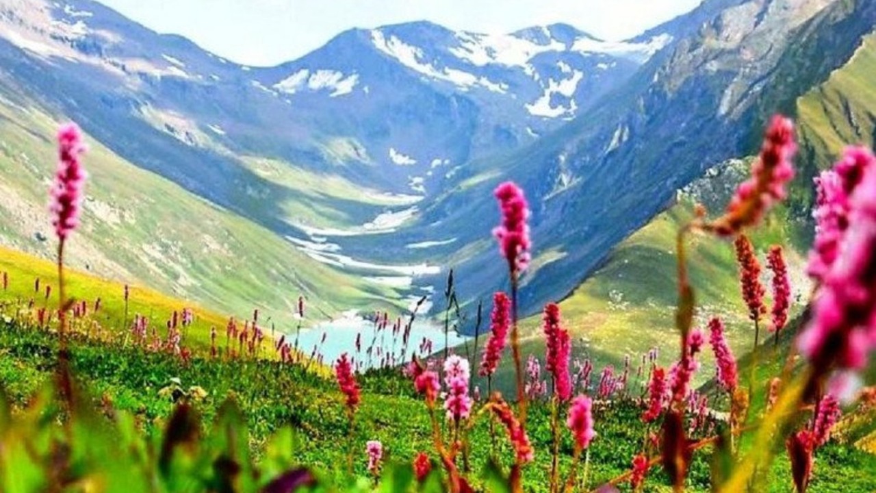 Valley Of Flowers Opened For Tourists