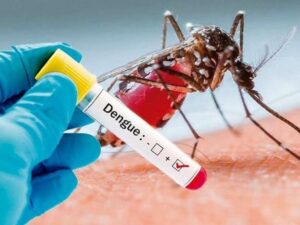 Cases Of Dengue