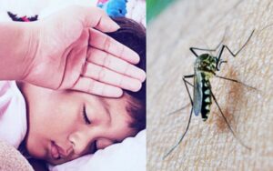 Action Of Dehradun DM Regarding Dengue