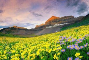 Valley Of Flowers Closing Date 2022