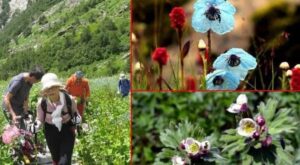 Valley Of Flowers Closing Date 2022