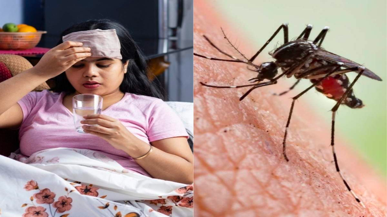 Chikungunya Cases Increasing