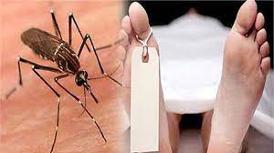 Dengue In Nainital