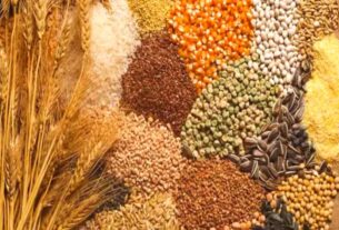Production Of Grains Increased
