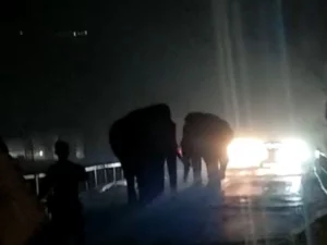 Elephants In Chandighat Bridge